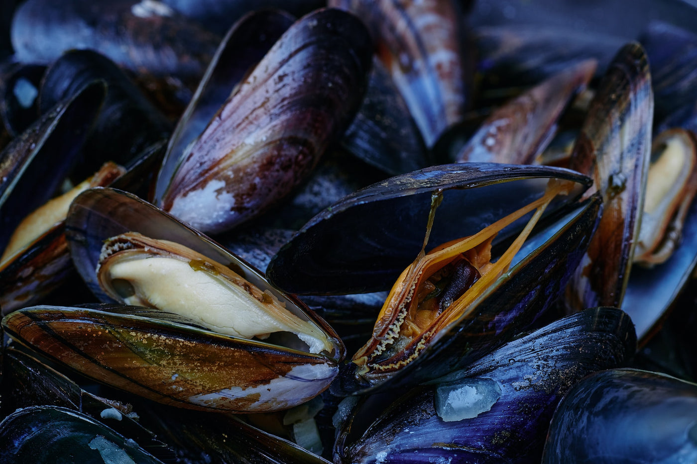 Hur vet man om musslor är okej att äta?